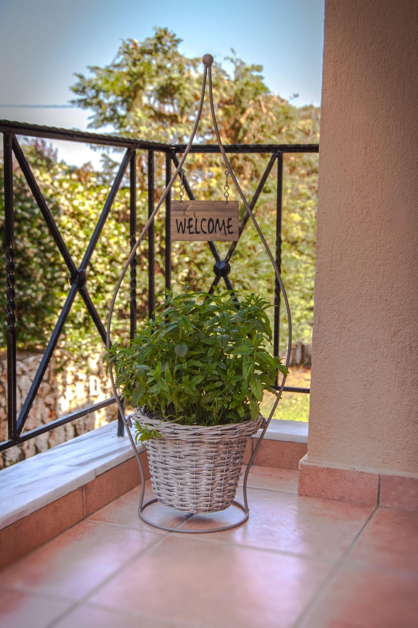 ארגוסטולי Kefalonia Houses מראה חיצוני תמונה